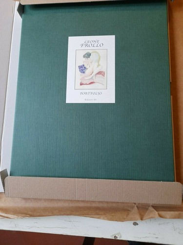 Leone frollo portfolio - leone,