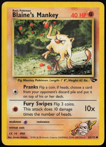 Blaine mankey common gym - blaine's,