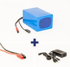 Batteria agli ioni di litio