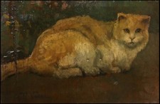 Dipinto Olio  tavola - Gatto Rosso