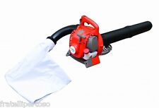 DECESPUGLIATORE AXO GARDEN GLSFTGAS245  PROFESSIONALE, 4TEMPI, 24cc