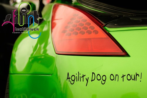 480 cane agility in - a,