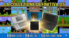 Cartuccia per Nintendo DS Lite