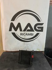 Radiatore Keeway Dr200 08/12