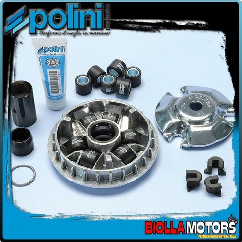 241 619 variatore speed - 241.619,