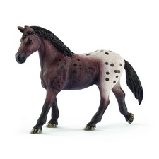 GIUMENTA APPALOOSA 2018