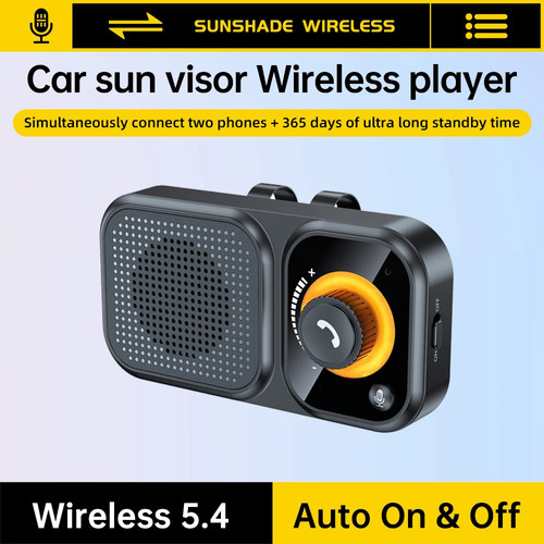 Altoparlante wireless