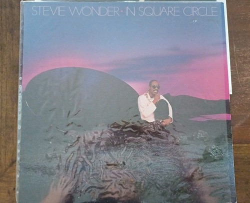 Vinyl stevie wonder - 12",