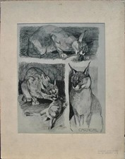 Mathurin MEHEUT: Il Caracal E