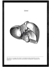 Poster stampa artistica