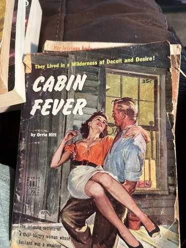 Cabin fever orrie hitt - cabin,