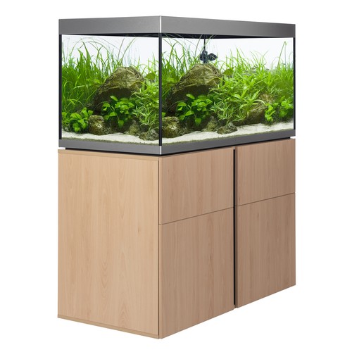 Combinazione acquario siena - combinazione,