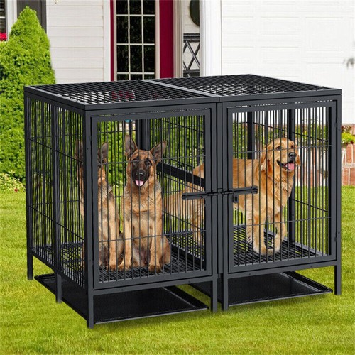 Xxxl jumbo gabbia - xxxl-jumbo,