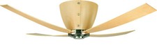 Ventilatore da Soffitto con