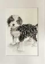 quadro originale ritratto cane