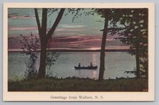 Greetings From Wallace Nova