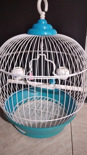 Gabbietta per uccelli - gabbietta,