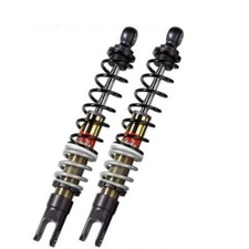 Coppia ammortizzatori