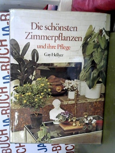 Die schönsten zimmerpflanzen - die,
