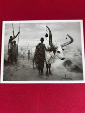 Sebastião Salgado - Kei, Southern Sudan (Genesis, 2006)
