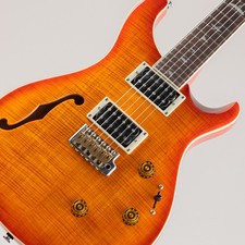 Paul Reed Smith PRS SE Custom