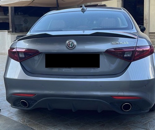 Spoiler posteriore carbon look - spoiler,
