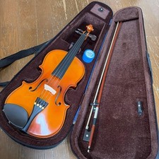 Corpo e custodia violino