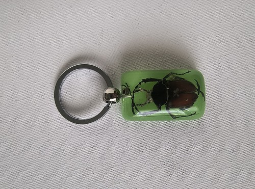 Portachiavi coleottero insetto