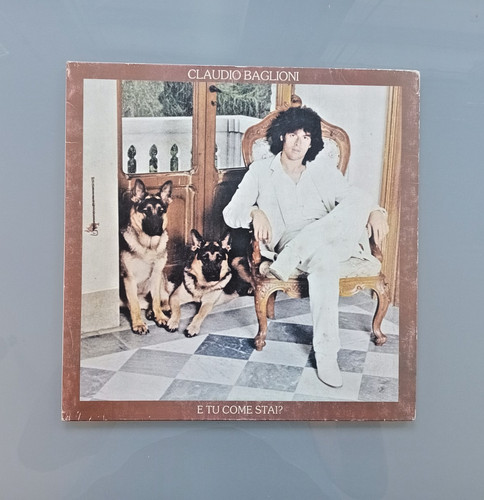 Disco vinile giri - giri, lp