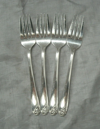 Vintage international daffodil - international,