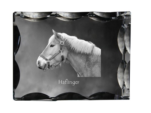 Haflinger cornice cristallo - haflinger,