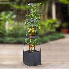 Robusto Reggi-Piante Graticcio