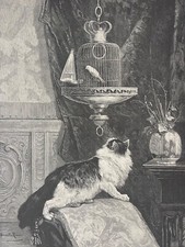 Chat et oiseau la tentation