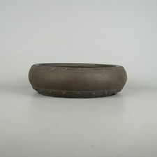 US DUTY PAID | Tokoname Bonsai