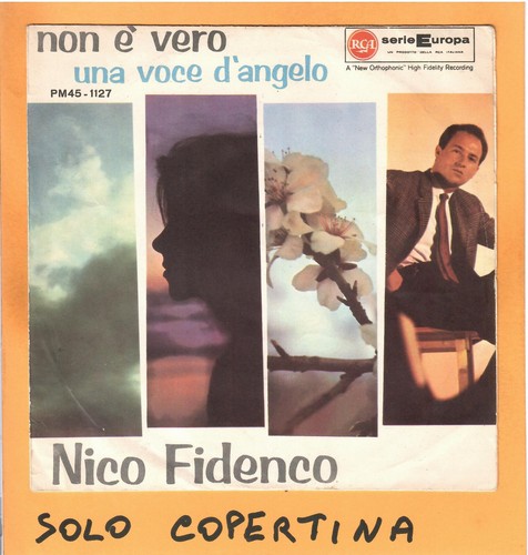Solo copertina nico - copertina,
