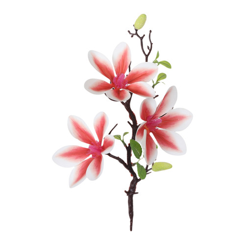Bouquet magnolia seta - bouquet,