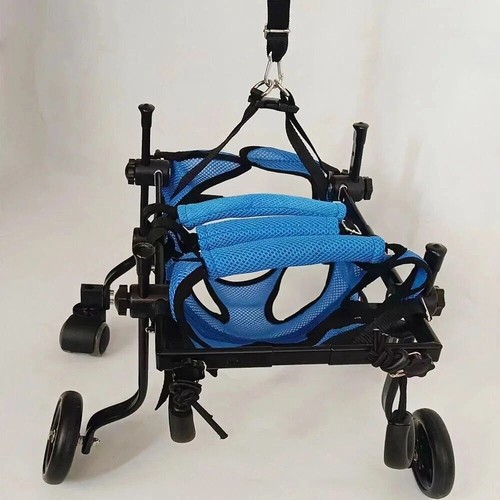 Sedia rotelle per cani gatti - sedia,