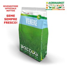 Miscuglio prato inglese