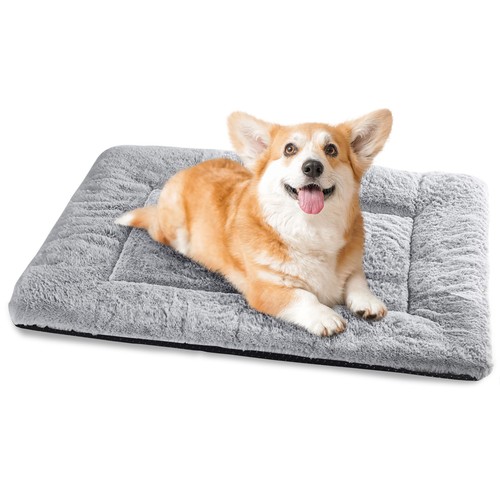 Cuccia cane interno taglia - cane,