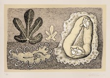 Viviani giuseppe dolci - giuseppe, "