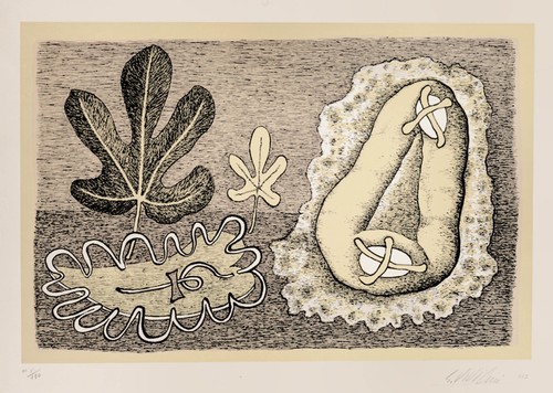 Viviani giuseppe dolci - giuseppe, "