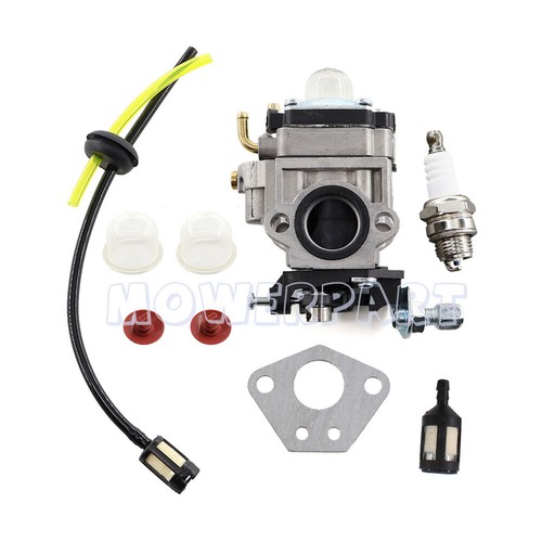 Carburatore per florabest - carburatore,