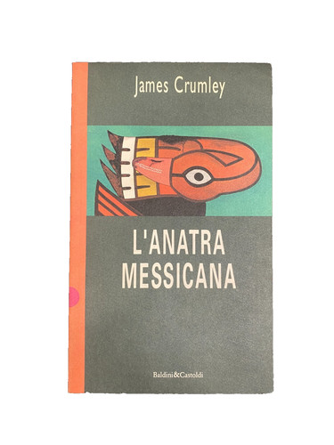 Anatra messicana james - l'anatra,