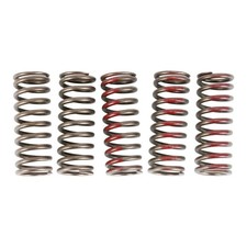 Kit molle frizione Pro Circuit