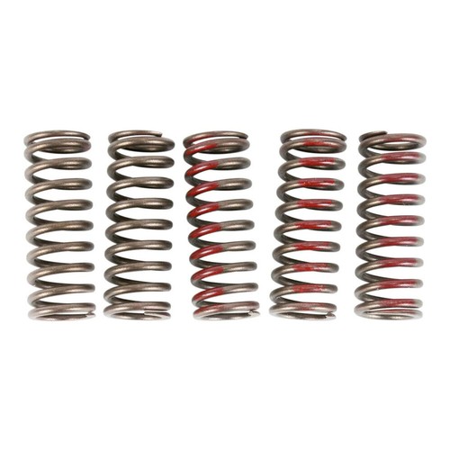 Kit molle frizione pro circuit - molle,