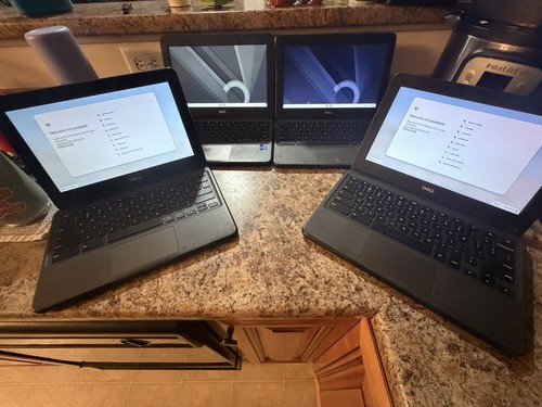 Dell chromebook 3100 6 - chromebook, 11.6