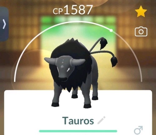 Pokemon paldean - pokemon, go/paldean