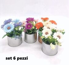 Set 6 Pezzi Piantina Pianta