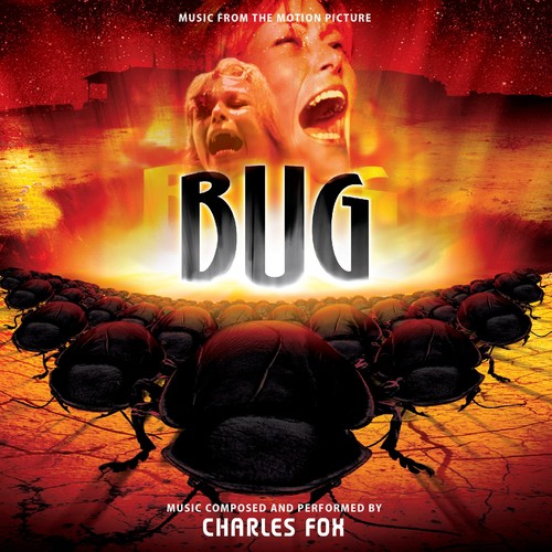 Les insectes feu - insectes, (bug)