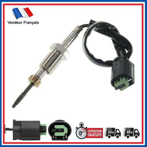 Sonde température gaz - sonde, de
